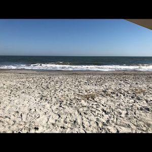 Meet your Posher, Hollie